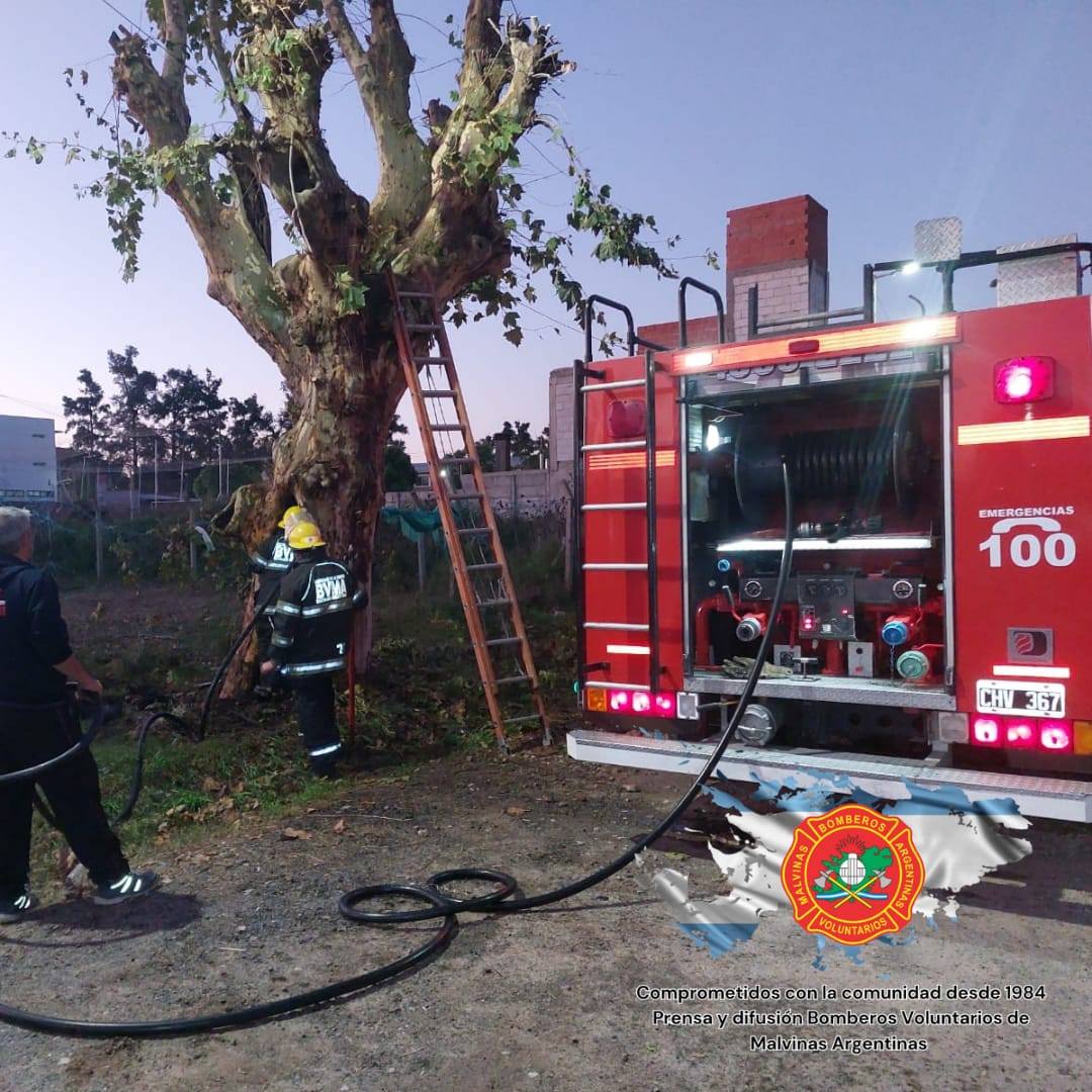 Servicio de bomberos 12